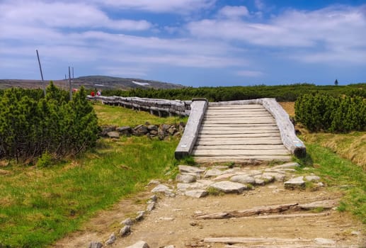 Wanderweg im Aupa-Torfmoor im Riesengebirge - wooden hiking trail in peatbog in Giant Mountains