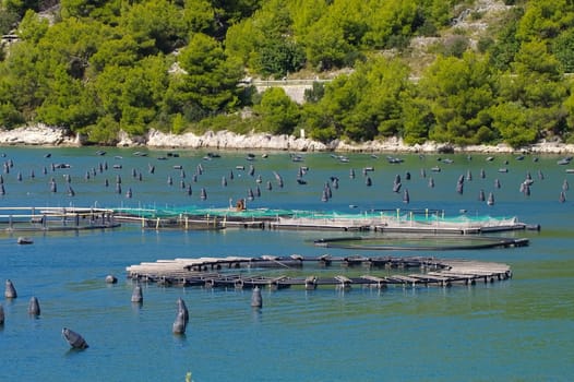 Aquaculture - Aquaculture,marine open water fish farm