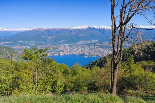 Luganersee vom Sighignola,Italien - Lake Lugano as seen from Sighignola,Italy
