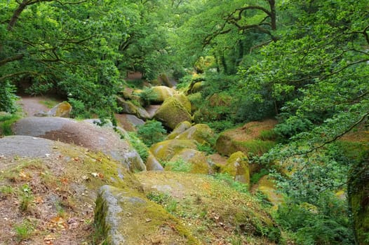 Forest of Huelgoat Le Menage de la Vierge in Brittany,France - Huelgoat forest Le Menage de la Vierge in Brittany,France