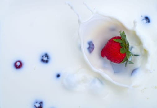 red strawberries and blueberries in cream or milk dairy product and organic fruit