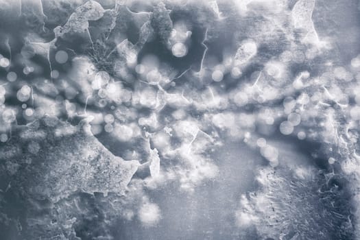 Background Illustration - Artist Supplies - Light Play - Bokeh - Grunge - Black and White