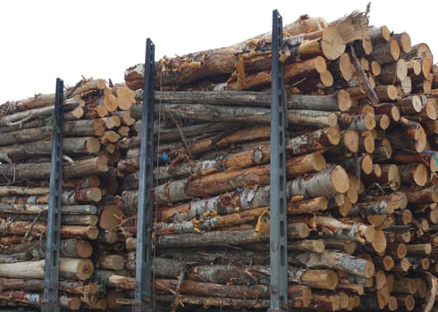 timber wood stack forestry industry forest product woodpile