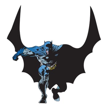 Batman superhero gotham illustration