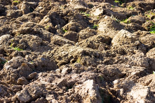 Ploughed soil in detail