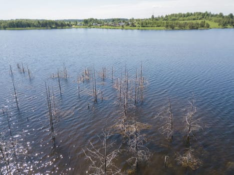 Sauriesi lake Aerial drone top view  latvia