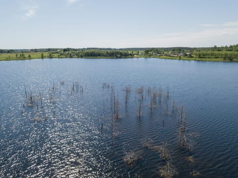 Sauriesi lake Aerial drone top view  latvia