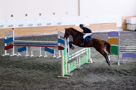 Beautiful young girl jockey riding a horse. ready to pounce