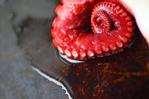 An octopus tentacle on a tray with water and copy space