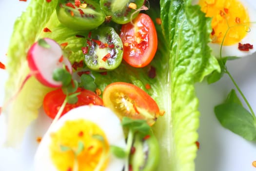 Overhead of whole romaine leaves with cherry tomatoes, baby kiwifruit, boiled egg halves, pea sprouts, radishes and hot pepper flakes