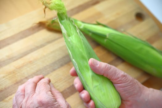 An older man holds an ear of corn with its husk intact with copy space