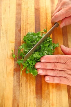 Man chops fresh cilantro on a cutting board with copy space