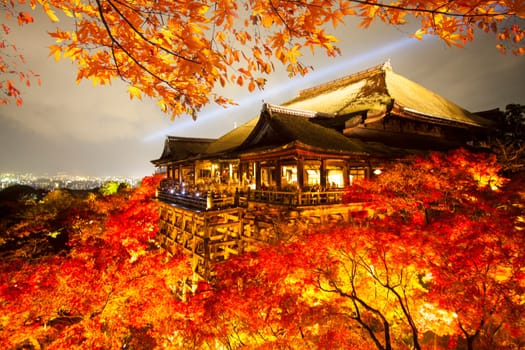 The beautiful landscape veiw of autumn season with colorful maple tree Klyomizu dera temple Kyoto is most popular travel destination in Japan