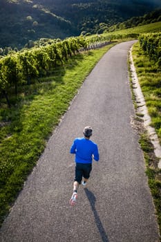 Jogger in the vineyards,view from above