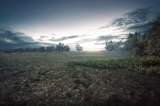 Dramatic scenery on the arid meadow field at sunset
