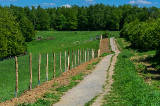 Hiking trail in the nature reserve Neandertal near Duesseldorf in Germany.