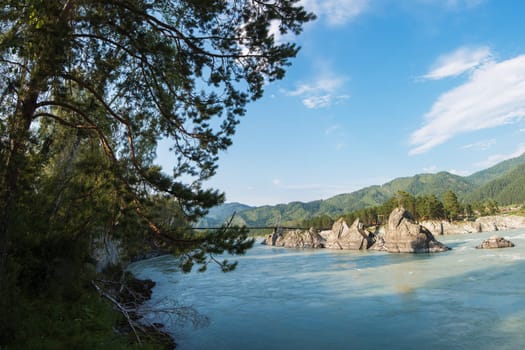 Fast mountain river Katun in Altay, Siberia, Russia. A popular tourist place called the Dragon's Teeth