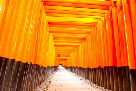 The beautiful orange color temple at Kyoto, Japan