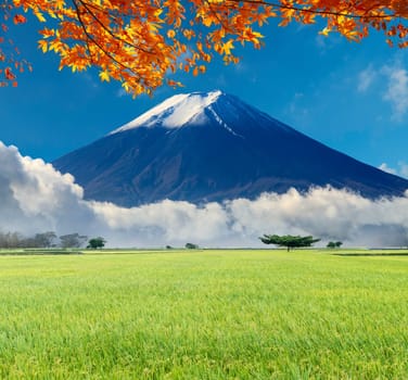 The image of beautiful landscapes with very nice color and background