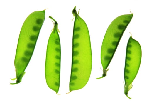Sugar peas,sugar snap peas,kefe (Pisum sativum) pods exposed against a white background