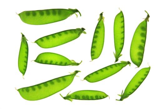 Sugar peas,sugar snap peas,kefe (Pisum sativum) pods exposed against a white background
