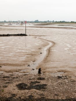 a line in the mud at the beach river  England  UK