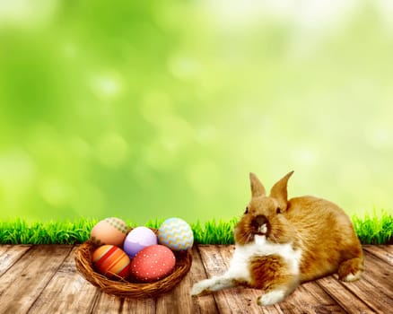 Colorful egg with bunny on the wooden floor