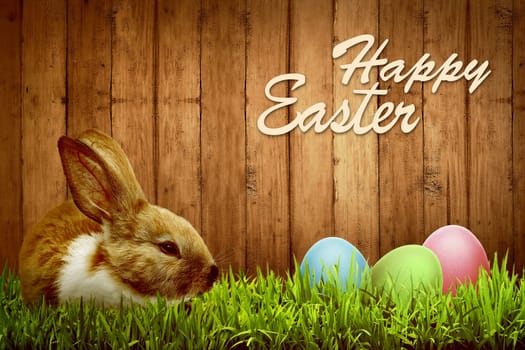Colorful egg on the grass over wooden background. Happy easter concept
