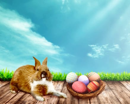 Colorful egg with bunny on the wooden floor