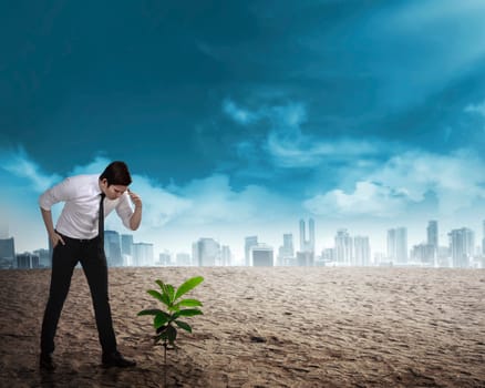 Asian business man looking down the plant seed grow on the desert. Business investment concept