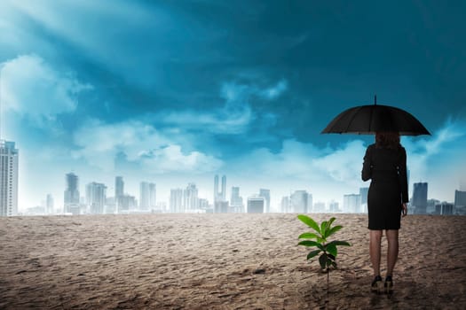 Asian business woman in black umbrella stand beside plant seed grow on the desert. Business investment concept