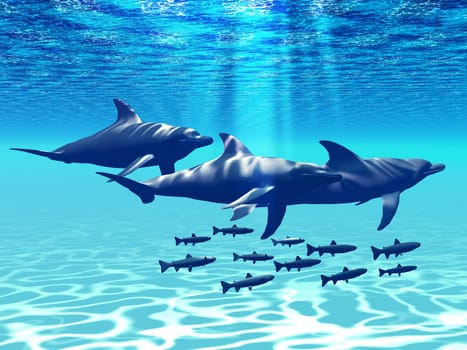 A pod of dolphins play with a school of fisn in shallow ocean waters.