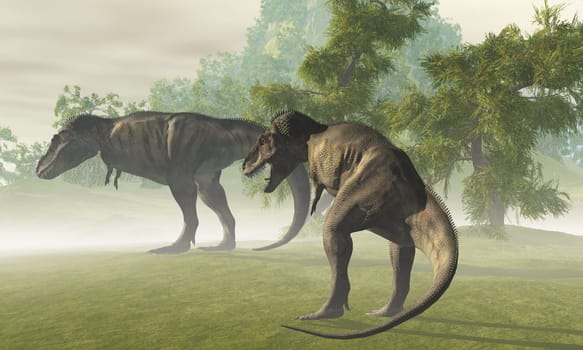 A misty dawn finds two Tyrannosaurus Rex dinosaurs on the hunt for prey.