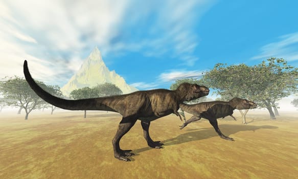 Two Tyrannosaurus Rex dinosaurs are on the hunt for dinner on this misty morning.
