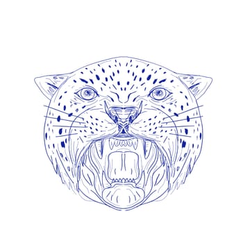 Illustration of an Angry Jaguar, panther, leopard, wildcat, big cat Head showing it's Fangs viewed from front done in hand drawn, sketch Drawing style.