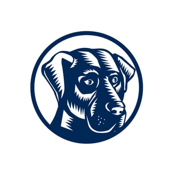 Illustration of a Black Labrador dog Head front view set inside Circle done in retro Woodcut style.