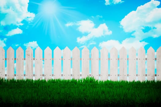 Fence background with green grass and blue sky