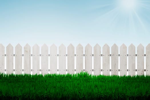 Fence background with green grass and blue sky