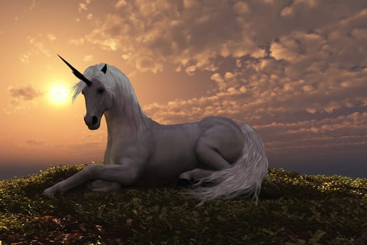 Sunset finds a Unicorn lying down for the night on a knoll full of low ground cover.
