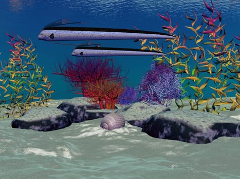 Two Oarfish swim along side each other over an ocean reef.