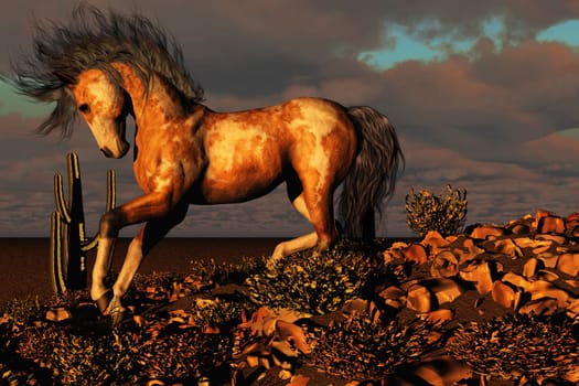 A wild paint horse runs down a hill in the desert full of cactus plants.