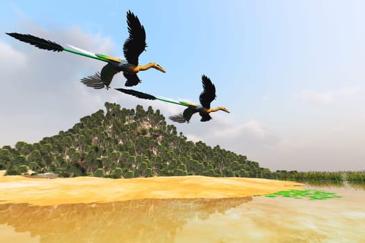 Two Microraptors fly over a marsh pond looking for prey to eat.