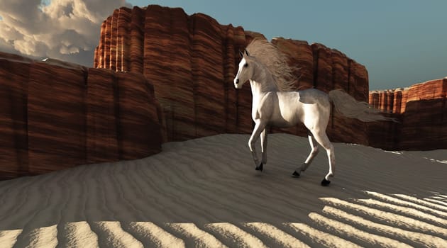 A white stallion runs through the sand of this desert canyon area.