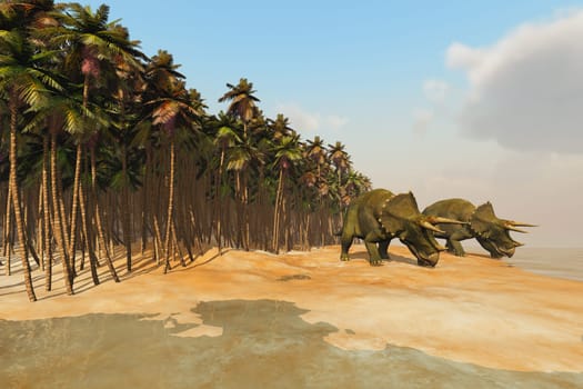 Two Triceratops dinosaurs come down to a lake for a drink of water.