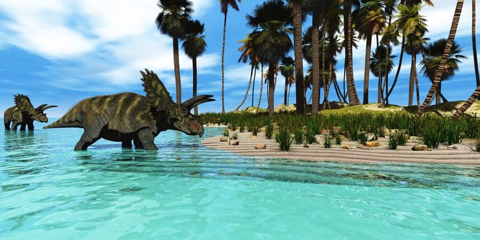 Coahuilaceratops was a herbivore dinosaur living in the Cretaceous Period in Mexico.