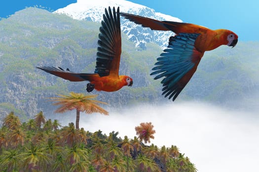 Beautiful colorful parrots called the Cuban Red Macaw fly over jungle trees.