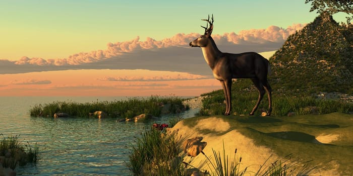 A whitetail buck with large antlers looks at a peaceful lake at sunset.