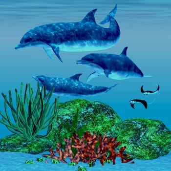 A dolphin pod and two stingrays swim along a coral reef.
