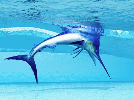 A Blue Marlin dives from the surface of ocean waves.