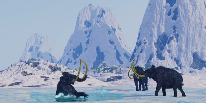 A Woolly Mammoth struggles to get out of the lake ice that he crashed through as his herd looks on.